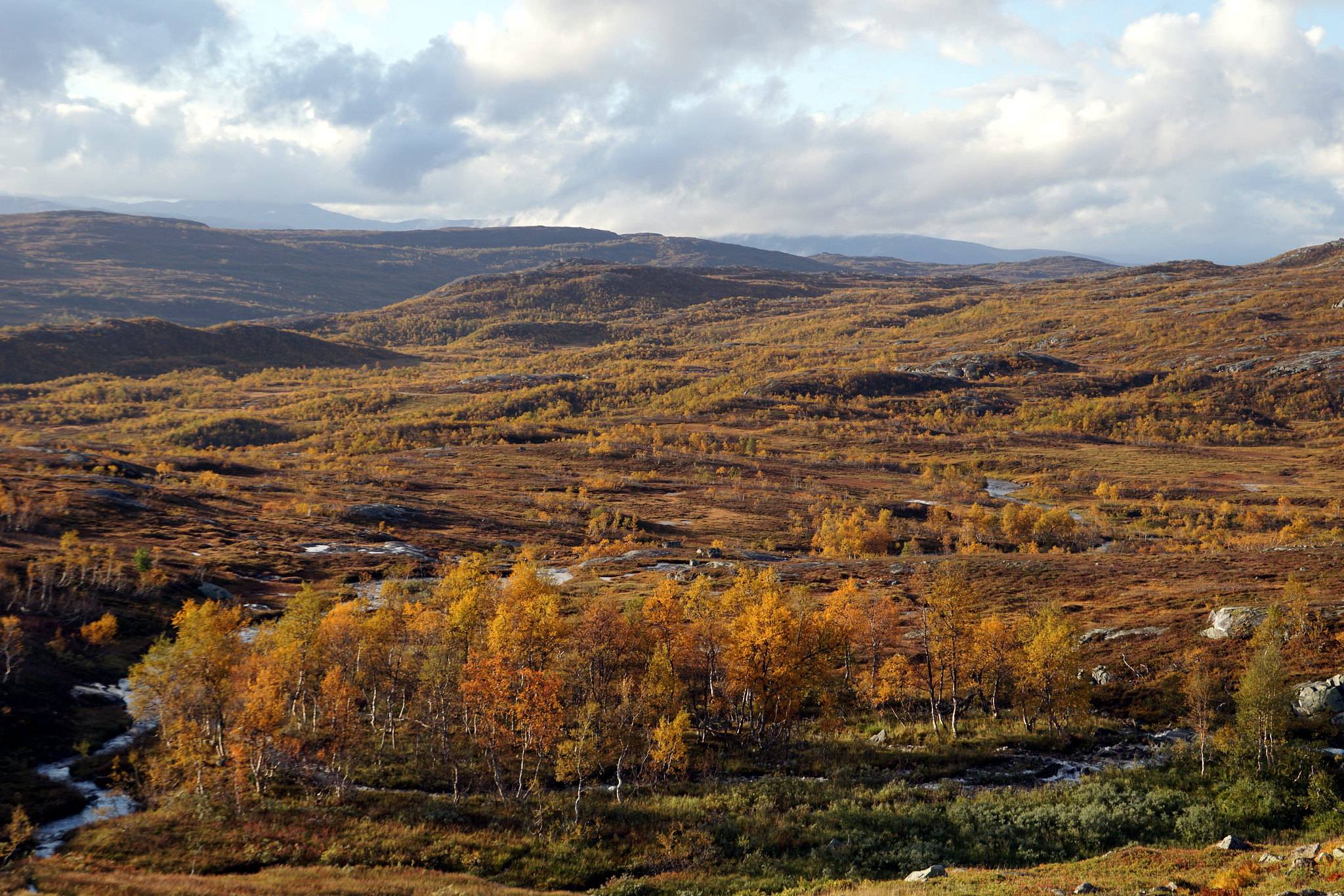 photo in Børgefjell