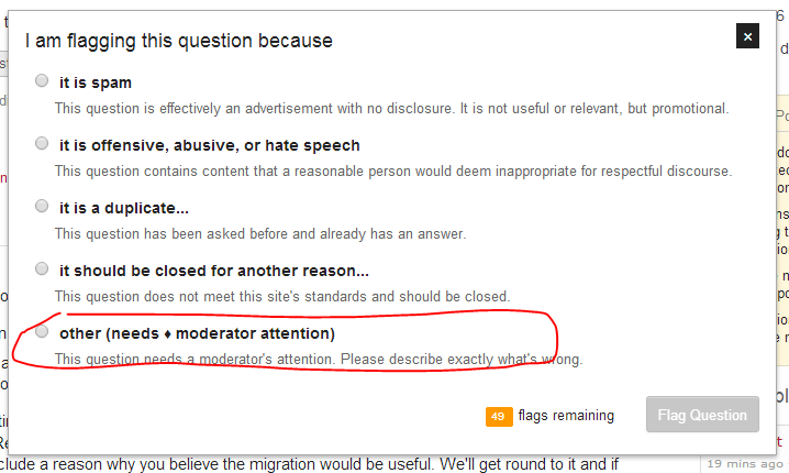 screenshot of flag modal panel with "other" option highlighted