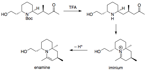 Brief outline of mechanism