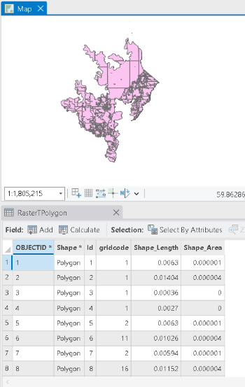 Vector layer with the attribute table generated after the process