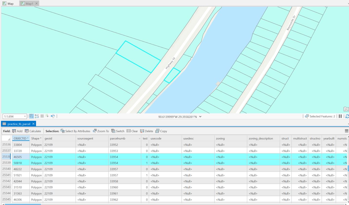 This screenshots shows highlighted OBJECTID 46505 and 50818 with matching parcel number fields.