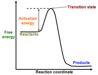 source - https://www.saburchill.com/IBbiology/chapters01/images/011204001.jpg