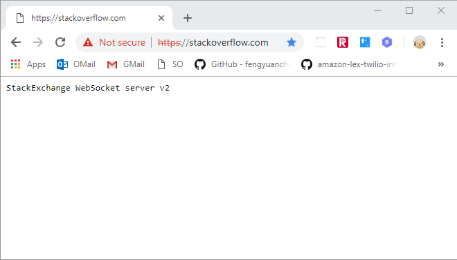 The browser says the site is not secure in the address bar. The page is completely blank except for the text "StackExchange WebSocket server v2".