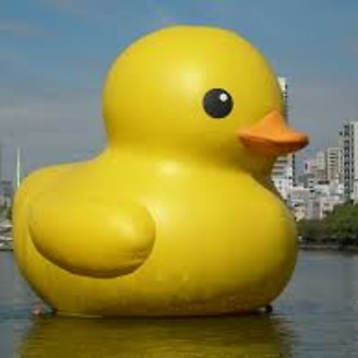 SirDuckduck's user avatar