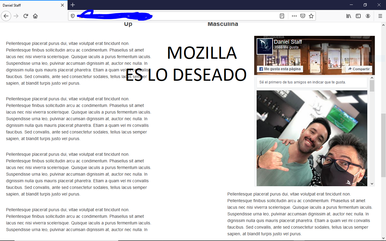 MOZILLA ES EL RESULTADO DESEADO 