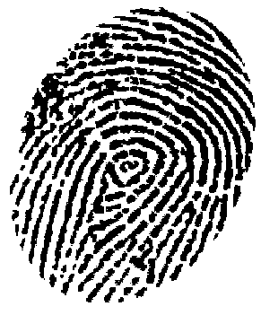 fingerprint