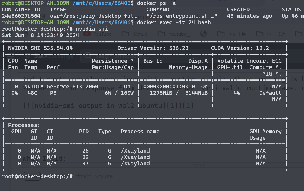 nvidia-smi output in container