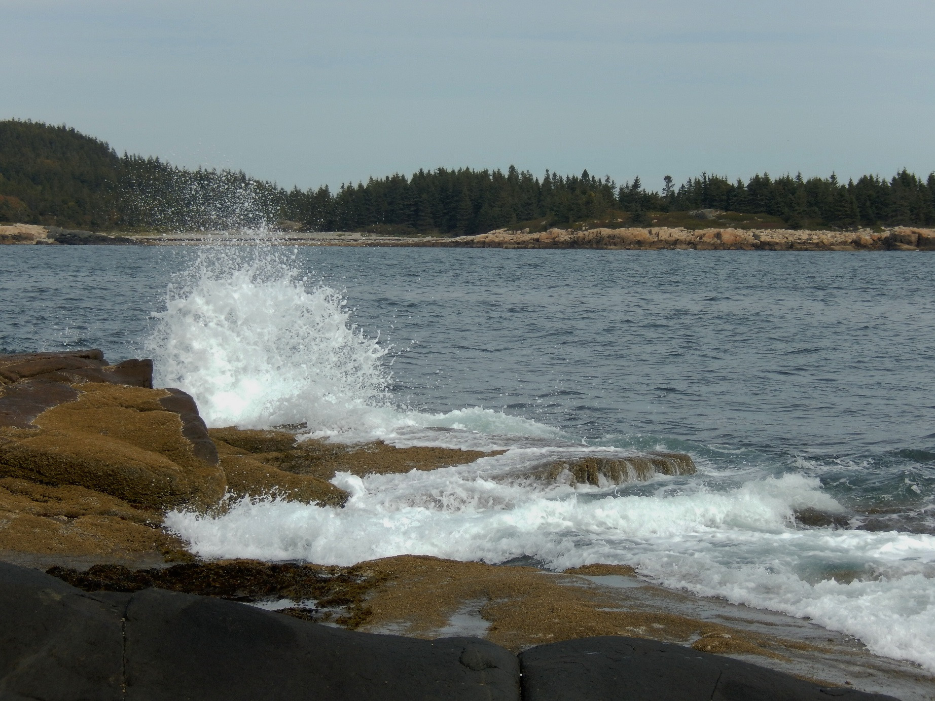 Flat coastline with mossy rocks