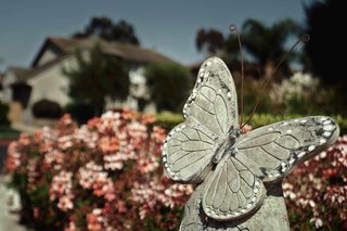 butterfly-statue