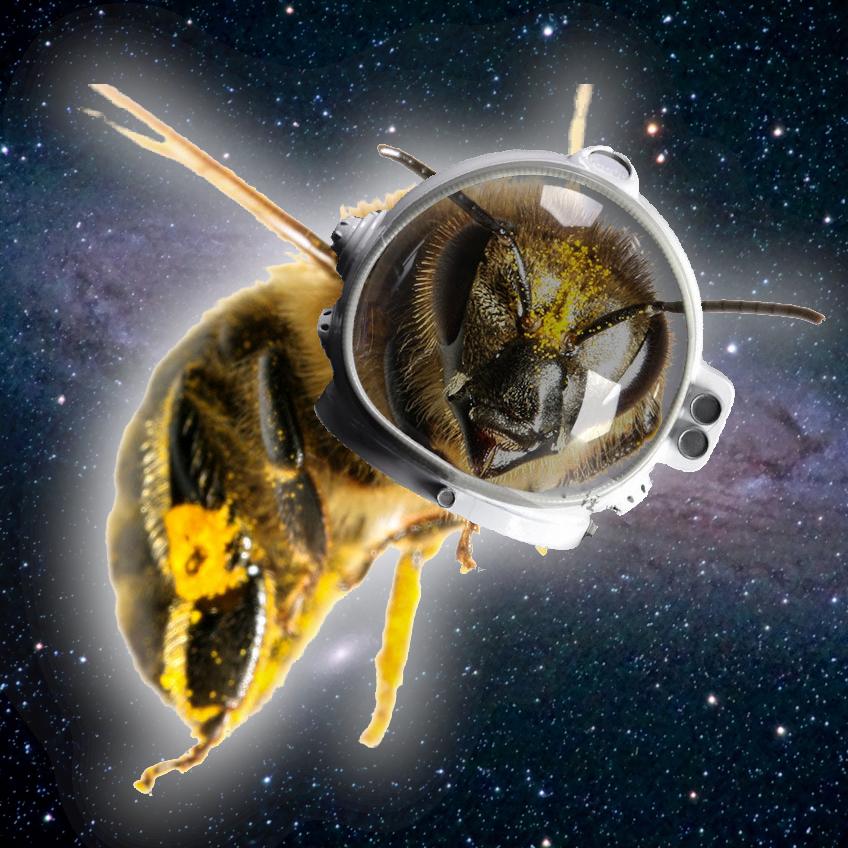 Astralbee's user avatar