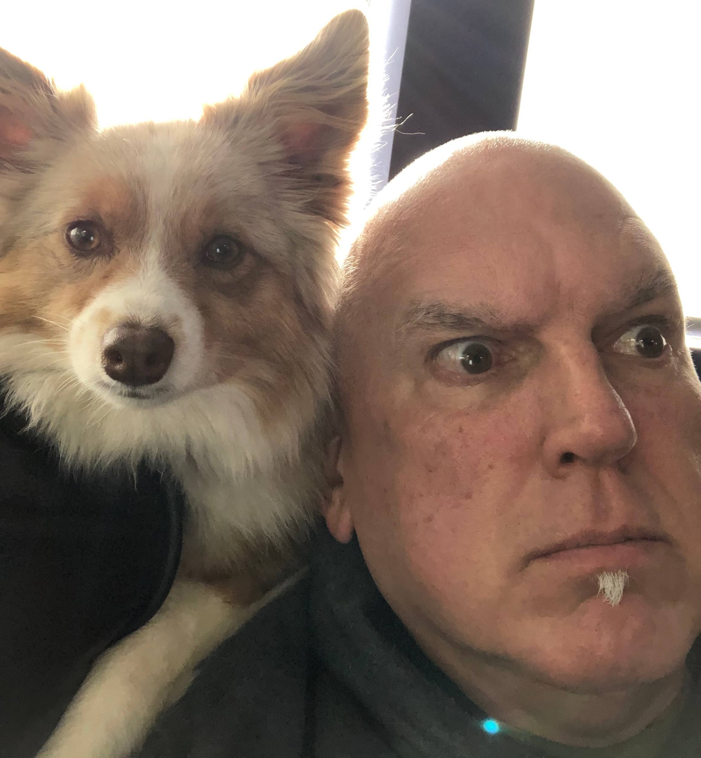 An Old Guy and His Dog's user avatar