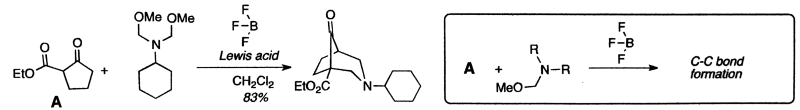 Double cyclization reaction scheme