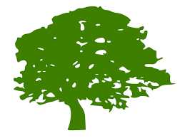 a green tree