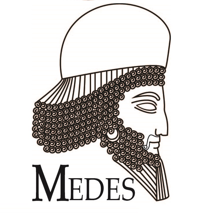 Medes Artist's user avatar