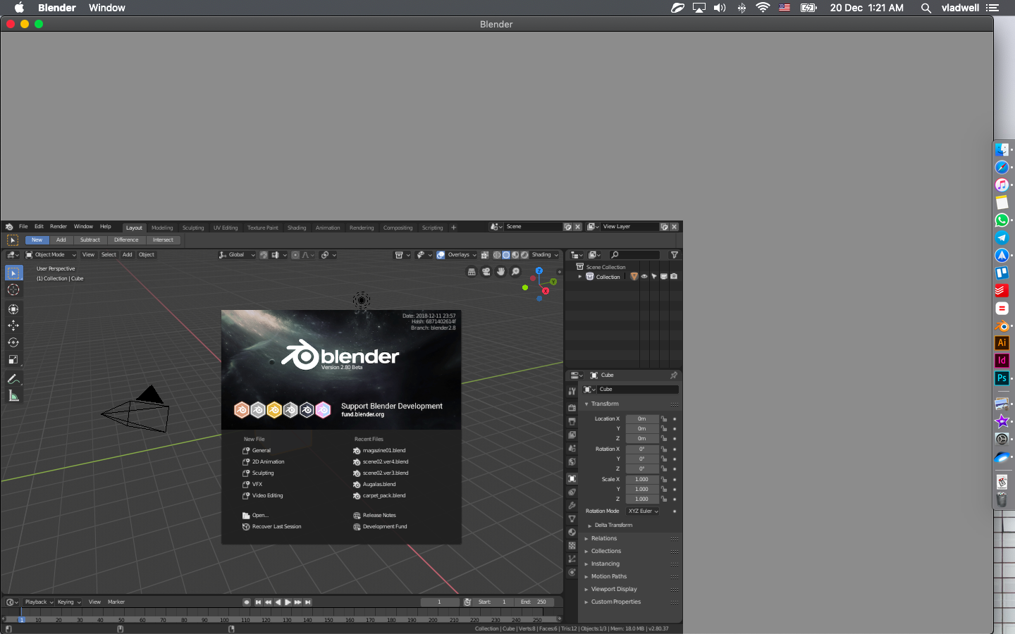 That's how my viewport looks