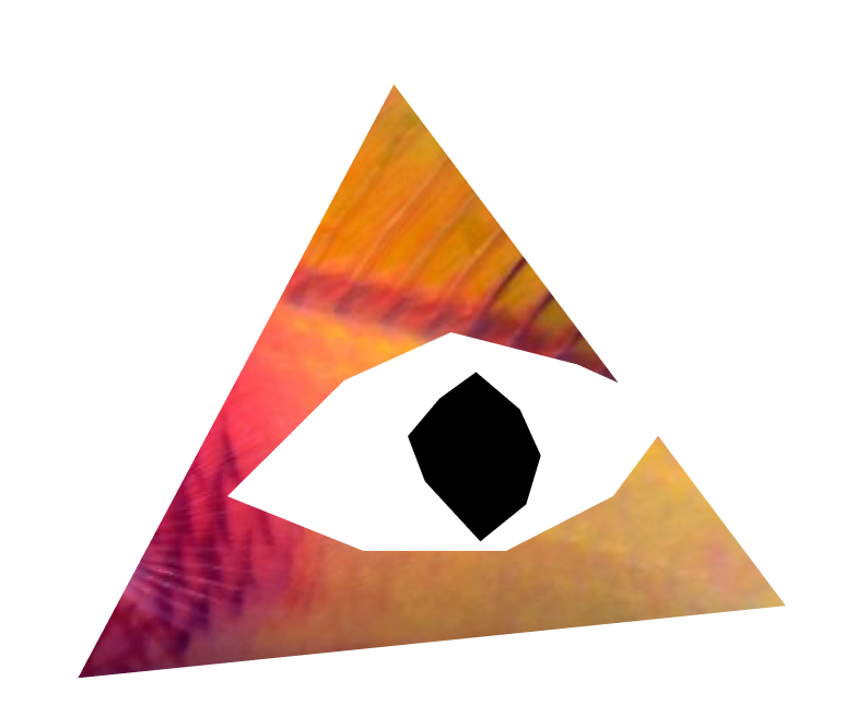 hedron's user avatar