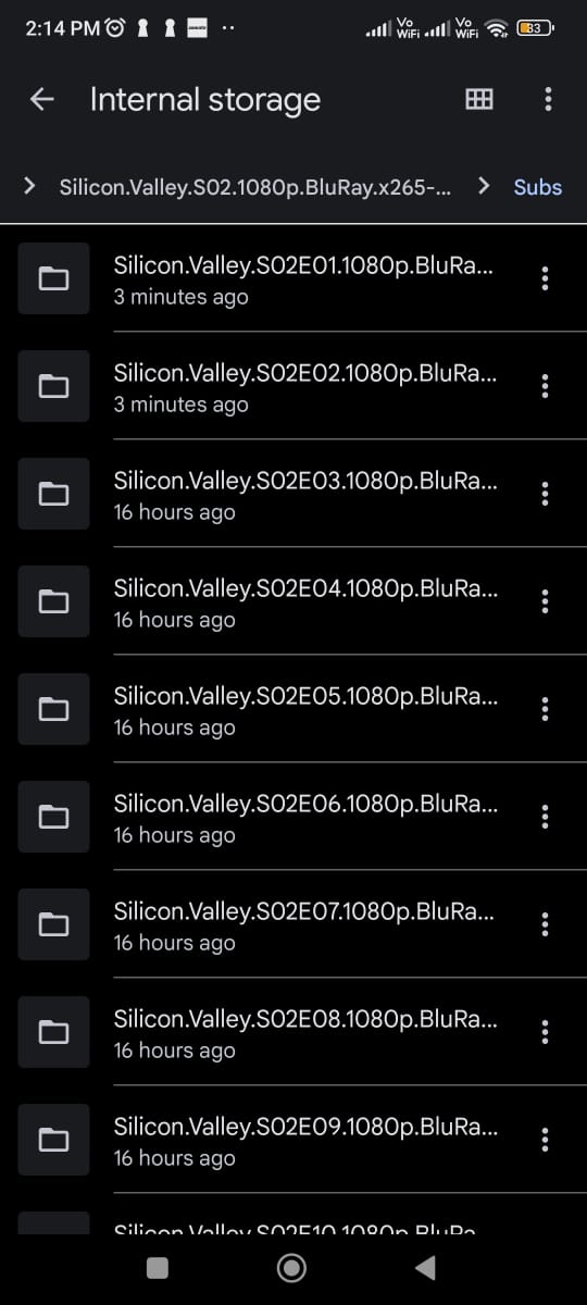 These are multiple .srt files in every folder.