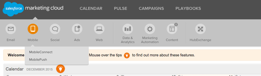 Salesforce Marketing Cloud MobileConnect