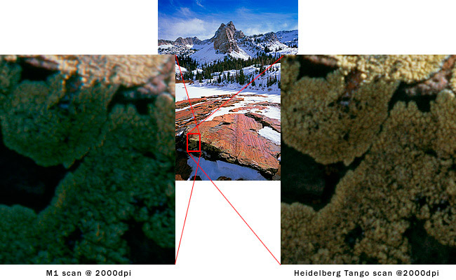 Quality difference between drum and highquality flatbed vs office scan