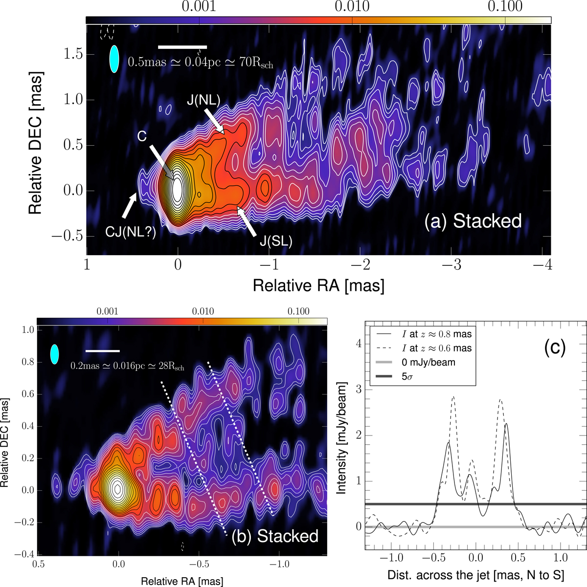 Radio image from Kim et al. (2018)