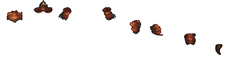 Wrinkler Bits