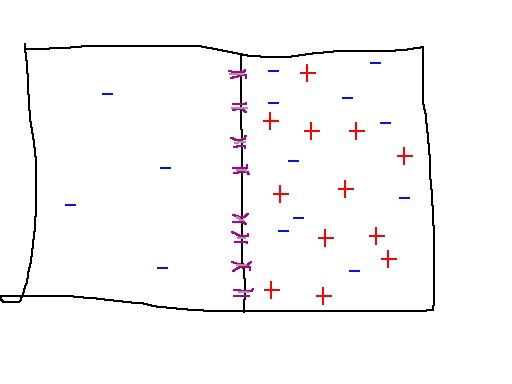 dilute ionic gas with semipermeable membrane that confines positive ions. Some negative ions are pushed to the opposite side of the chamber.