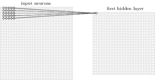 receptive field to neuron