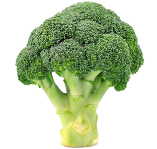 Broccoli's user avatar