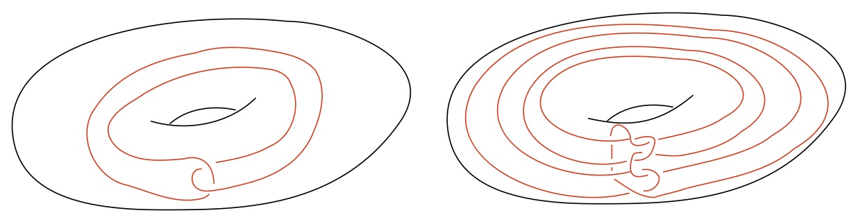 knots in the torus