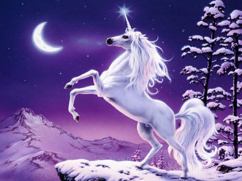 An image of a unicorn