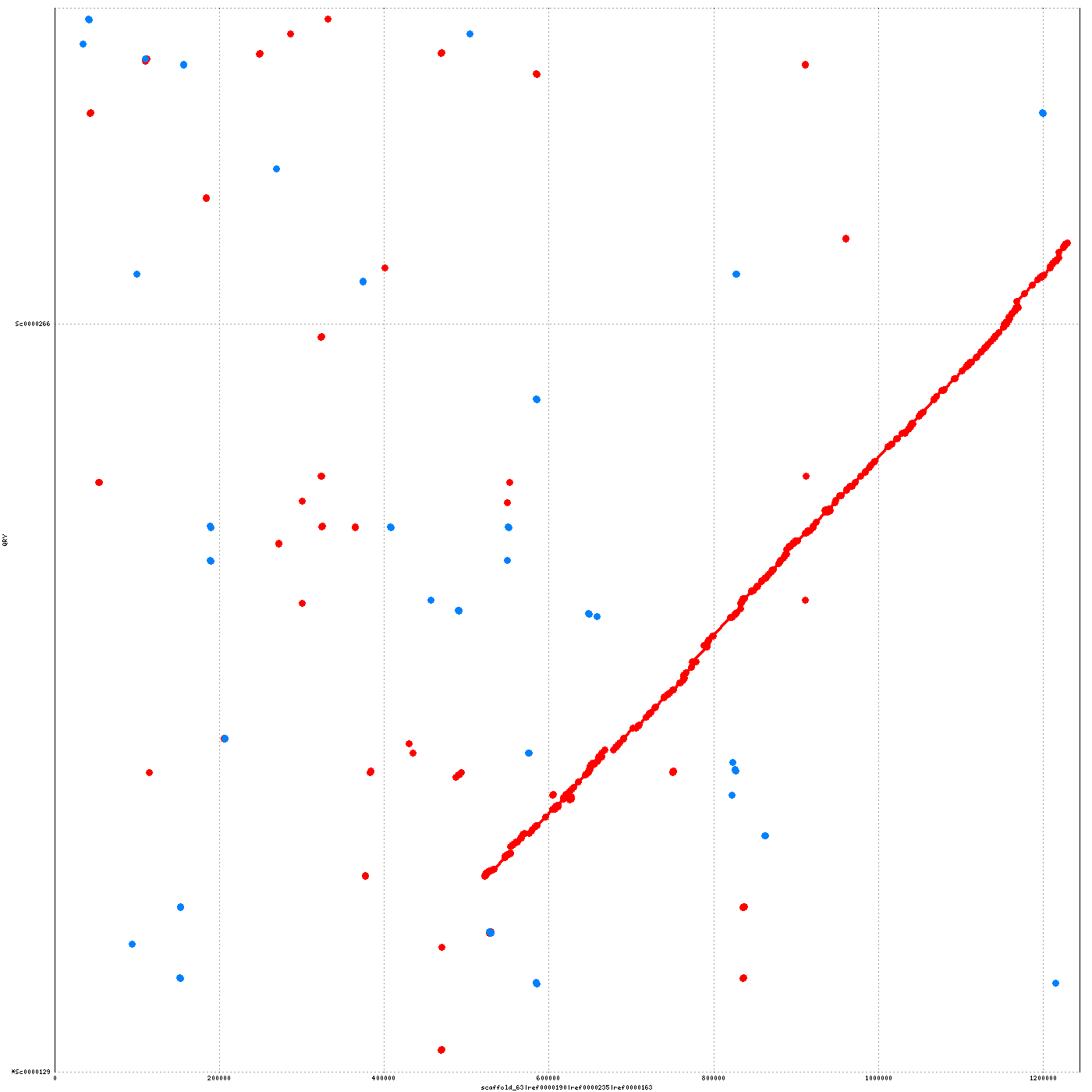 Example of Illumina scaffolds linked in the PacBio assembly