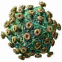 HIV virus