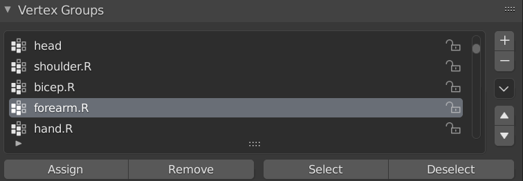 forearm.R in the vertex group list