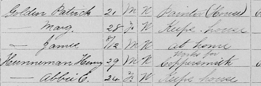 screenshot of census record