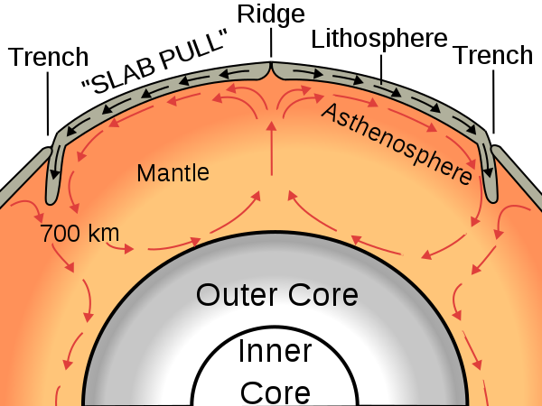 Simplified schematic of convection currents in the mantle driving plate tectonics with areas of uplift where new oceanic crust is formed and areas of subduction where it is melted.