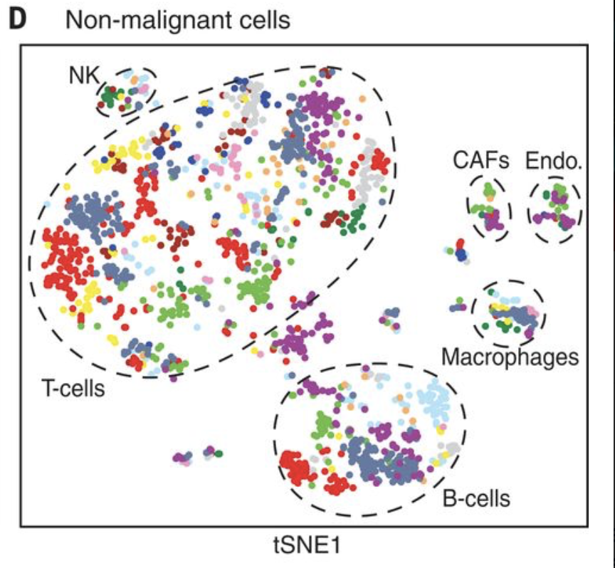 single cell rna