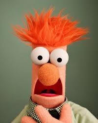 Beaker's user avatar