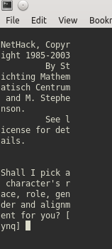 nethack screenshot