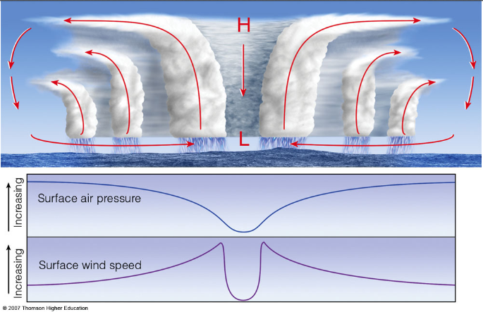 cross section