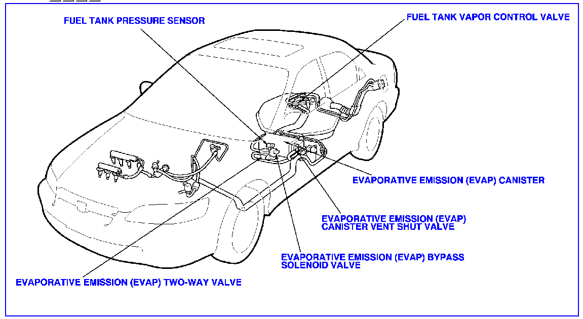 EVAP system