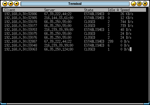 tcptrack screenshot