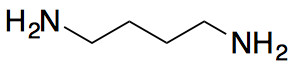 Putrescine