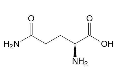 Glutamine