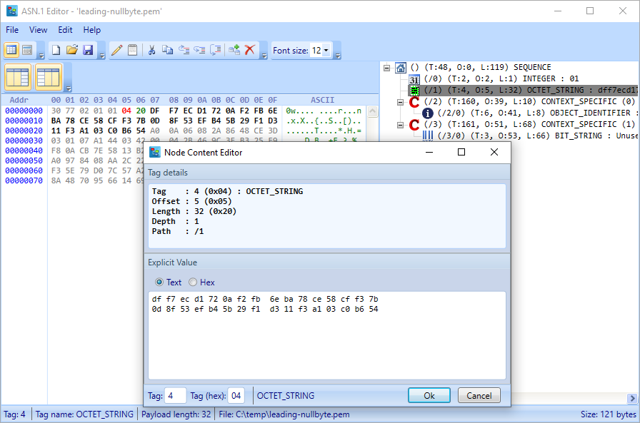 asn1editor.leading-nullbyte.pem.png
