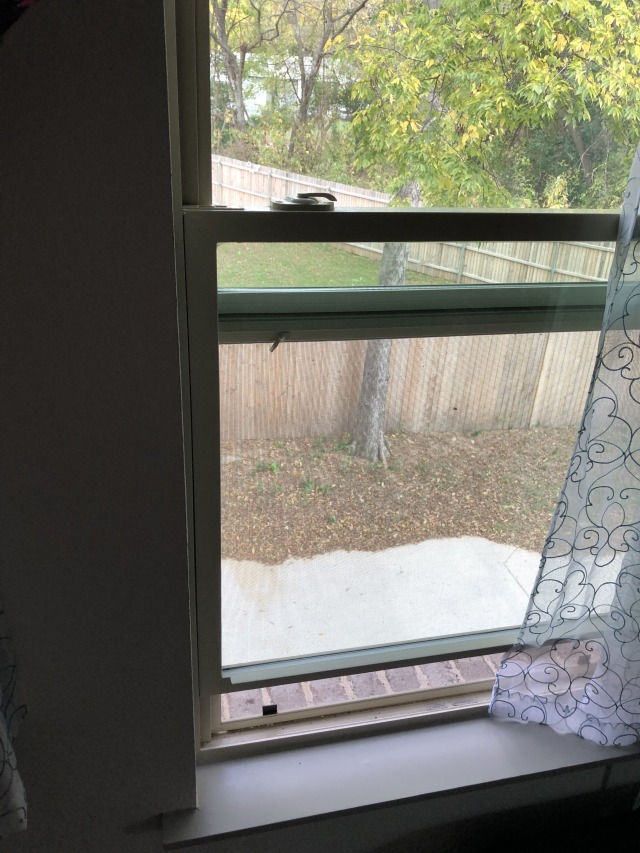 removal - How to remove window screens? - Home Improvement Stack 