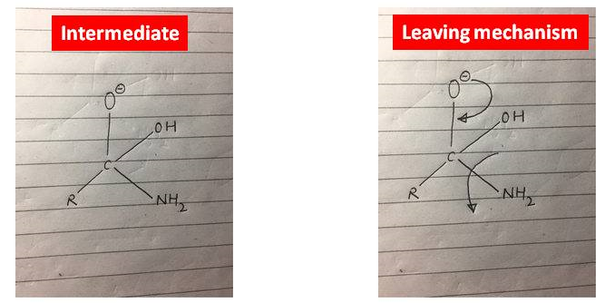 the intermediate & what my teacher and books say