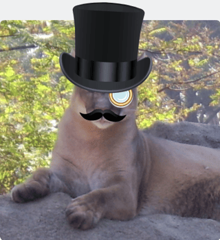 Puma wearing top hat