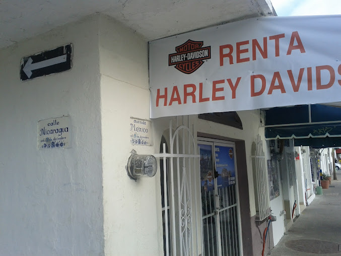 Harley Davidson Rentals