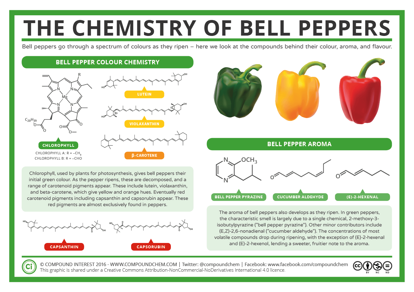 chemistry of bell peppers PNG quick card picture