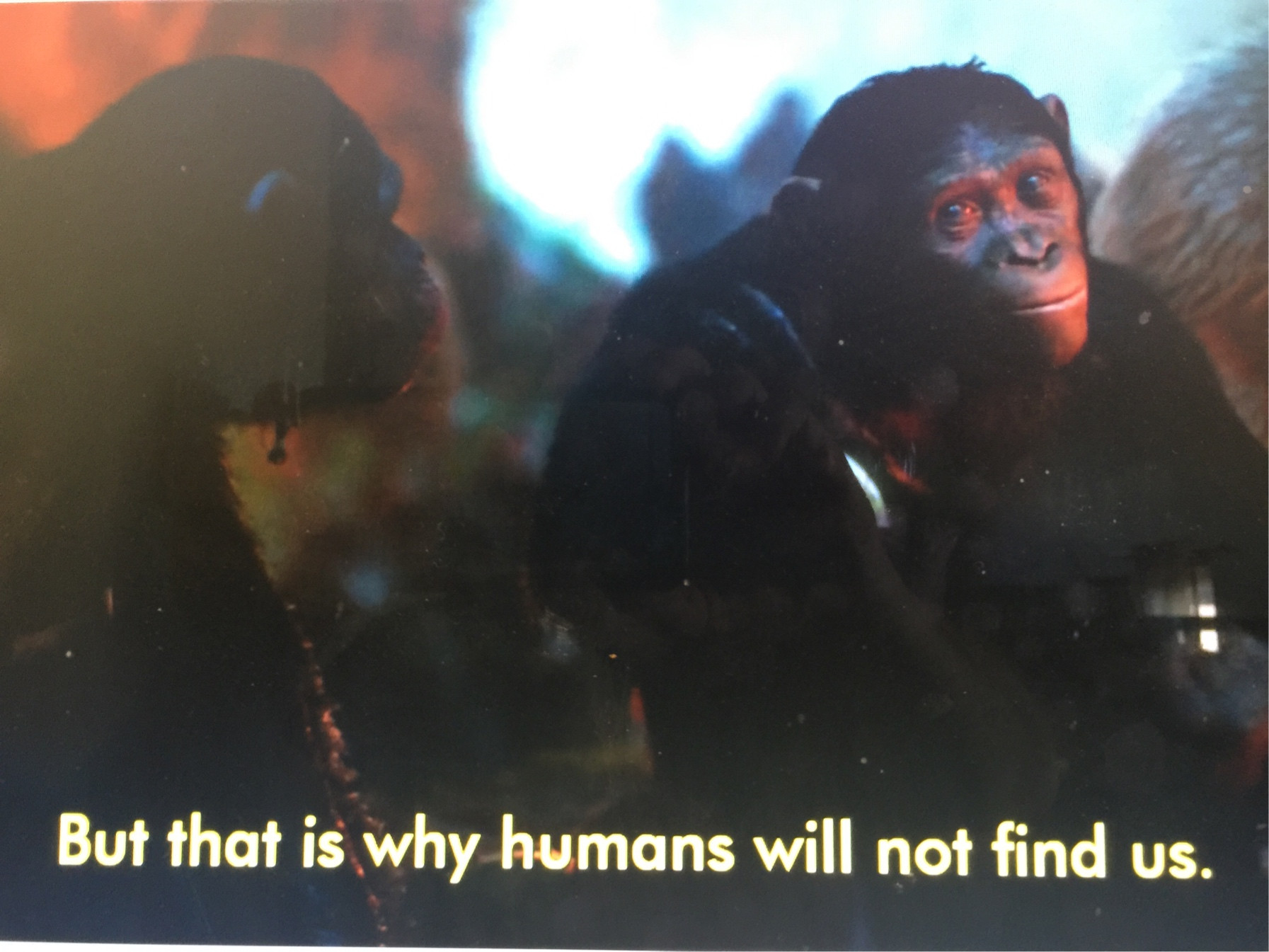 In the modern Planet of the Apes series, are there subtitles for the ...